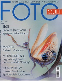 fotocal