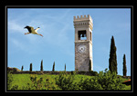 Le Cicogne di Fagagna