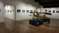 Le Cicogne di Fagagna