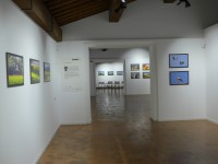 Le Cicogne di Fagagna