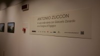 Le Cicogne di Fagagna
